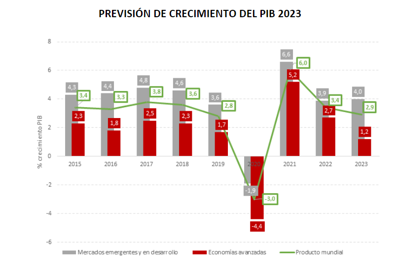 GRAFICO 4