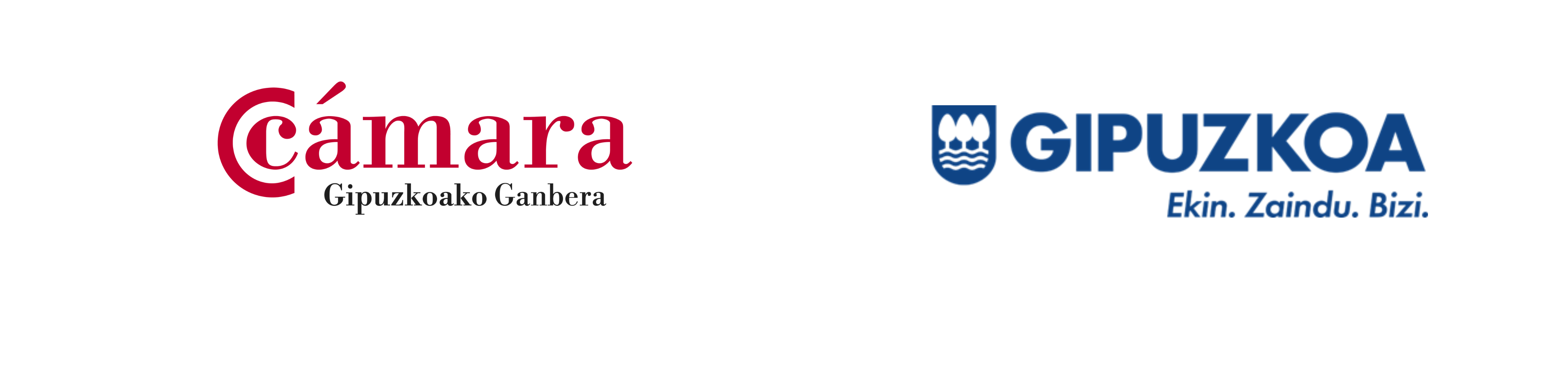 BANNER WEB 2025