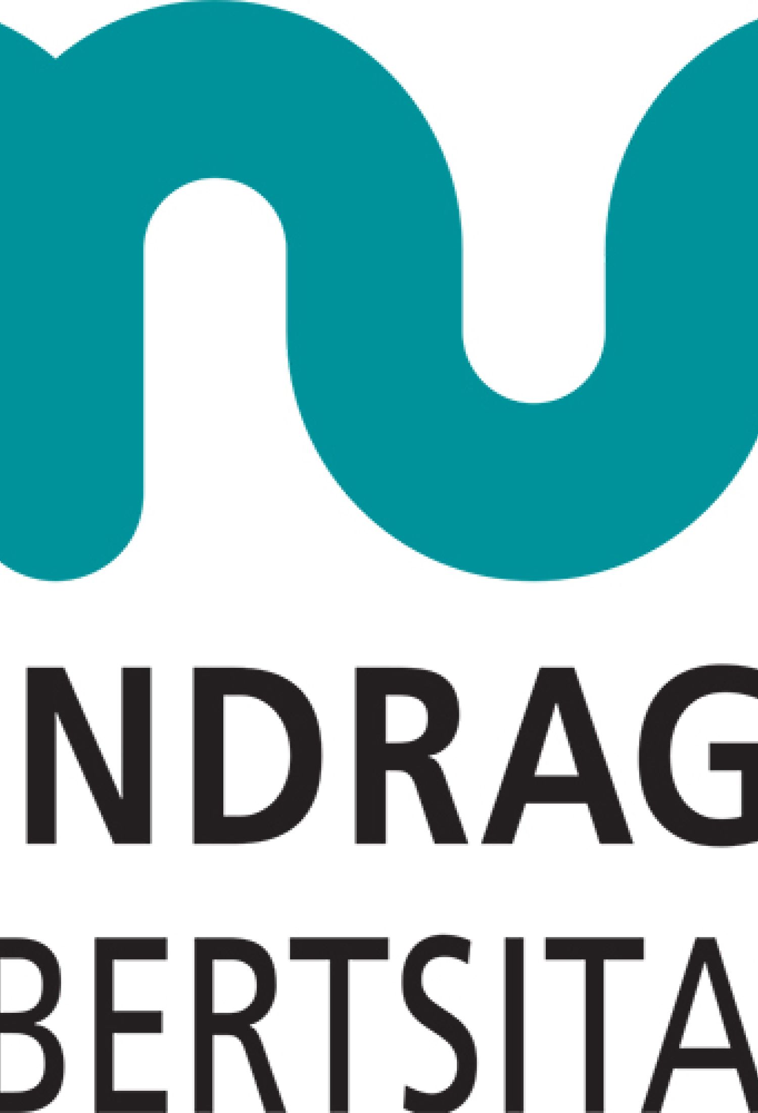 Cámara Gipuzkoa y Mondragon Unibertsitatea clausuran la XIII edición del MBA Executive
